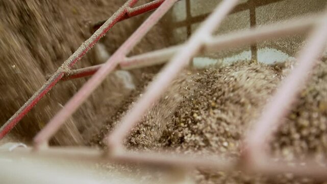 crushed soybeans coming out of bean mill, close-up, slow motion