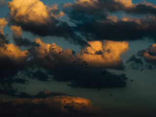 Fototapeta premium sunset over the clouds