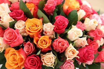 Beautiful bouquet of colorful roses, closeup view