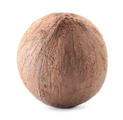 One whole coconut in shell isolated on white