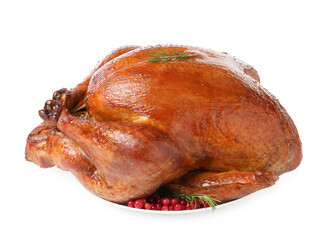 Whole baked turkey with cranberries and rosemary isolated on white