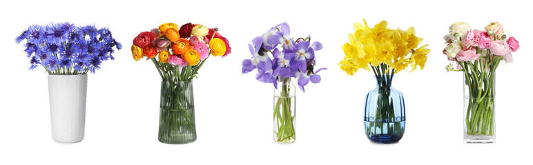 Bouquets of different beautiful flowers in vases isolated on white, set