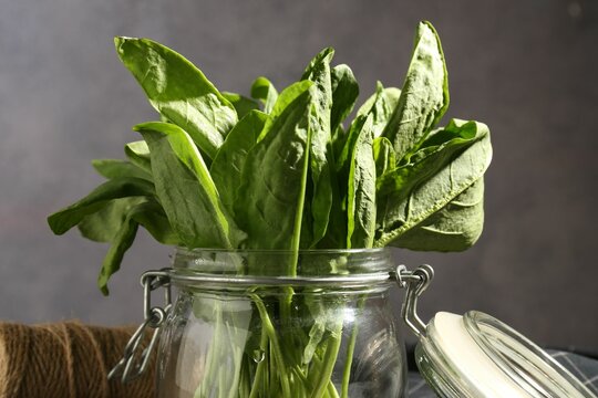 Fresh sorrel in glass jar on grey background, closeup