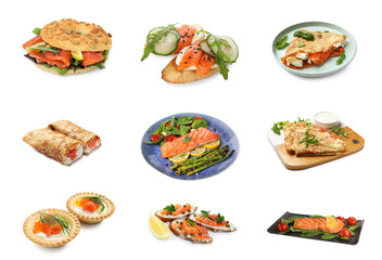 Different dishes with salmon isolated on white, set