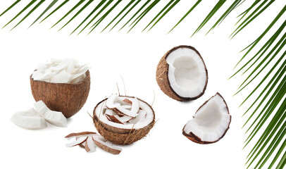 Fresh coconuts and green palm leaves isolated on white