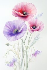 Naklejka premium A Watercolor Painting Depicting Three Delicate Poppy Flowers
