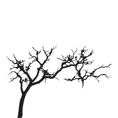 Tree silhouette. Black Tree silhouette on white background. Vector illustration.