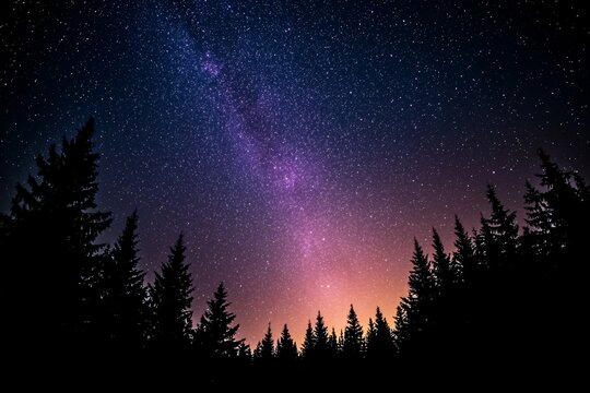 Cosmic Symphony: An awe-inspiring nightscape reveals the luminous Milky Way cascading over a silhouetted evergreen forest. The scene invites viewers to lose themselves in the universe's grandeur.