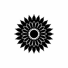 creative details Marigold Sun Icon vector illustration 