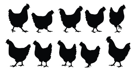 Chicken Silhouette Vector Set