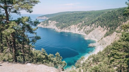 Naklejka premium Serene Coastal Vista: A Panoramic View of a Secluded Bay Nestled Amongst Lush Greenery