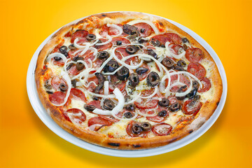 Pizza with olives, pepperoni and onion