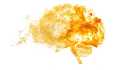 a swirling cloud of orange smoke against a white background creating an abstract and dynamic visual effect that evokes a sense of movement and energy