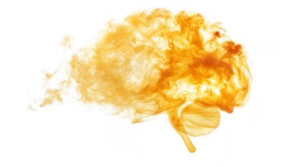 a swirling cloud of orange smoke against a white background creating an abstract and dynamic visual effect that evokes a sense of movement and energy
