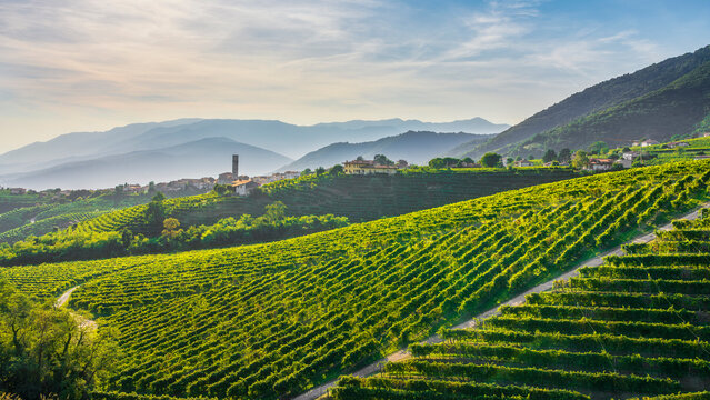 Prosecco Hills, vineyards and San Pietro di Barbozza village. Valdobbiadene, Veneto, Italy
