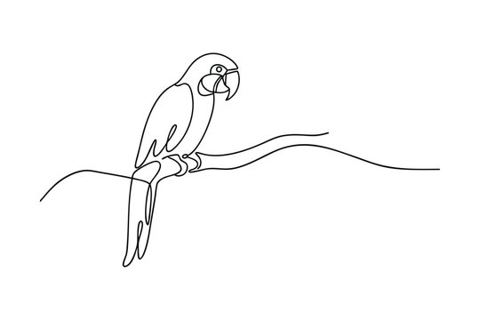 Single Line Drawing of a Perched Macaw Parrot Bird