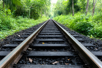 Obraz premium Train tracks vanishing into lush green tropical forest