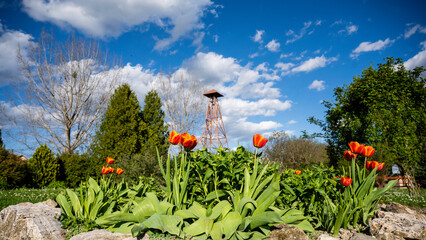 Blumen im Park Glockenturm