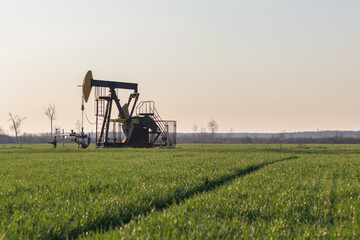 Fototapeta premium Oil Pumpjack in a Green Field with Clear Sky Background