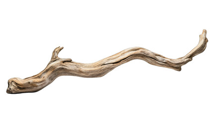 Obraz premium a smooth elongated piece of driftwood with natural textures and