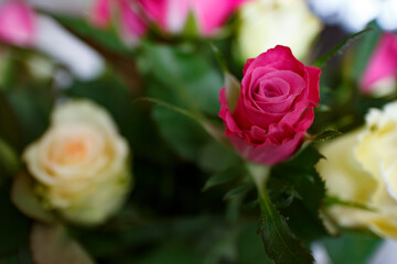 Bouquet of pink and white roses arranged elegantly on a sunny afternoon in a cozy room