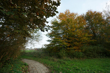 Pathway through a serene landscape with colorful autumn trees and soft grass on a cloudy day
