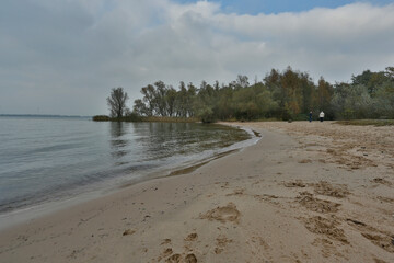 Obraz premium Peaceful shoreline at a lake surrounded by trees and misty skies during a quiet morning