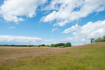 Beautiful nature of Mols Bjerge National park in Denmark