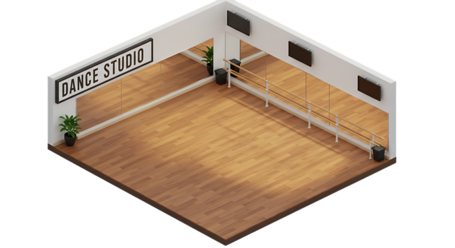 Isometric Dance Studio with Mirrors and Barre for Fitness Training