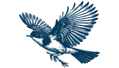 Restless flycatcher bird engraving vector illustration