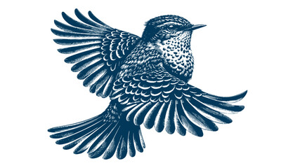 Restless flycatcher bird engraving vector illustration