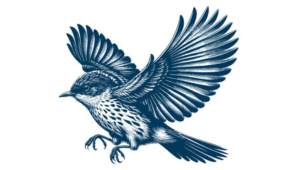 Restless flycatcher bird engraving vector illustration
