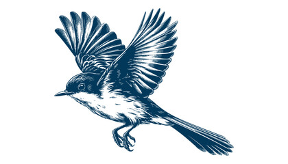 Restless flycatcher bird engraving vector illustration