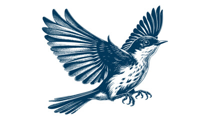 Restless flycatcher bird engraving vector illustration