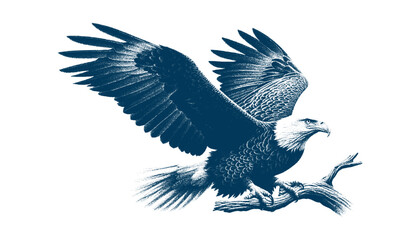 eagle engraving vector illustration