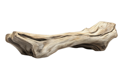 a beautifully crafted piece of driftwood showcasing natural text