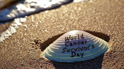 Iridescent Seashell with “World Cancer Survivor’s Day” Message on Beach at Sunrise, Symbol of Healing