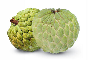 Two Fresh Cherimoya Fruits with Scaly Green Exterior