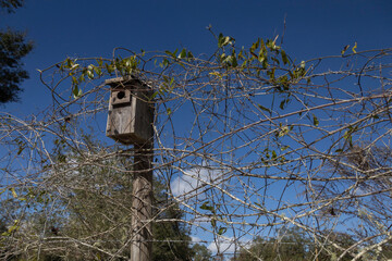 Wooden birdhouse on a wire fence, located in a Florida nature reserve.