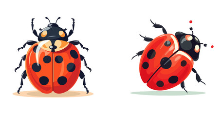 Fototapeta premium lady bug vector in different style set graphic