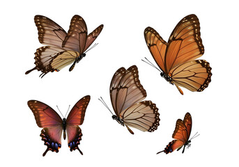 Naklejka premium Set of butterflies isolated on transparent background, cut out, ai generated