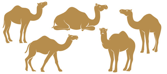 camel graphic vector set bundle silhouette illustration