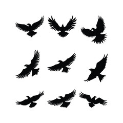 Fototapeta premium A collection of black eagle silhouettes in various flight 2