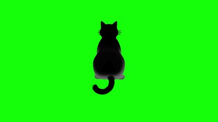 Green screen cat animation. An black cat sits with its tail gently swaying. Back view. Chroma key. 4K. Seamless loop. Perfect for Halloween-themed content and pet adoption campaigns.