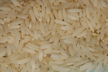 Close-up of raw rice grains on a vibrant background