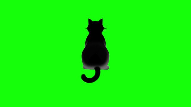 Green screen cat animation. An black cat sits with its tail gently swaying. Back view. Chroma key. 4K. Seamless loop. Perfect for Halloween-themed content and pet adoption campaigns.