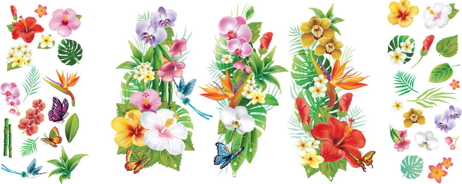 Fototapeta Tropical Flowers and Leaves Set – Exotic Floral Arrangements and Individual Elements for Custom Designs