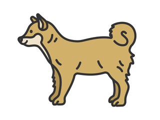 柴犬（線画カラー）のイラスト