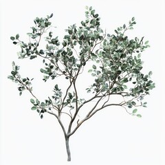 Lush Green Tree with Delicate Leaves against Bright White Background in a Minimalist Artistic Style