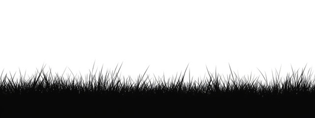 silhouette of black Seamless grass on transparent white background 
